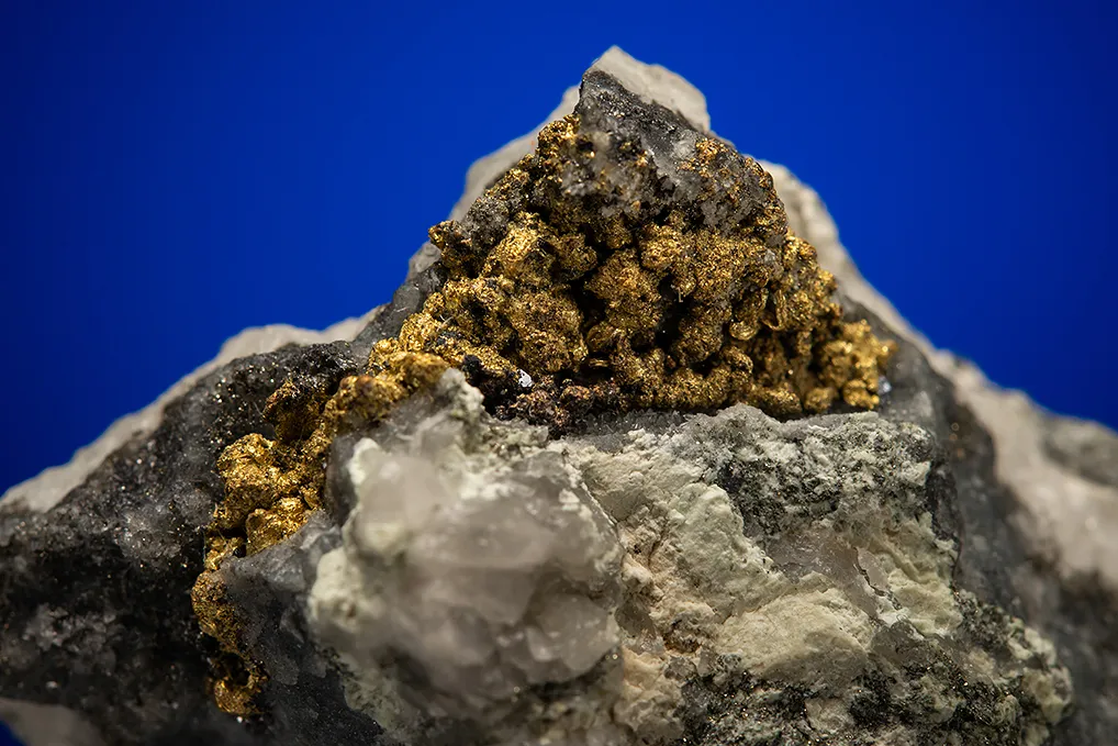 Gold with Hessite and PETZITE - image 2