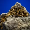Gold with Hessite and PETZITE - image 2