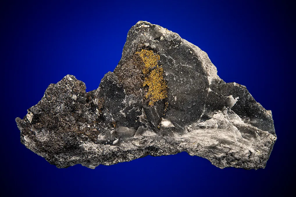 Gold with Hessite and PETZITE image