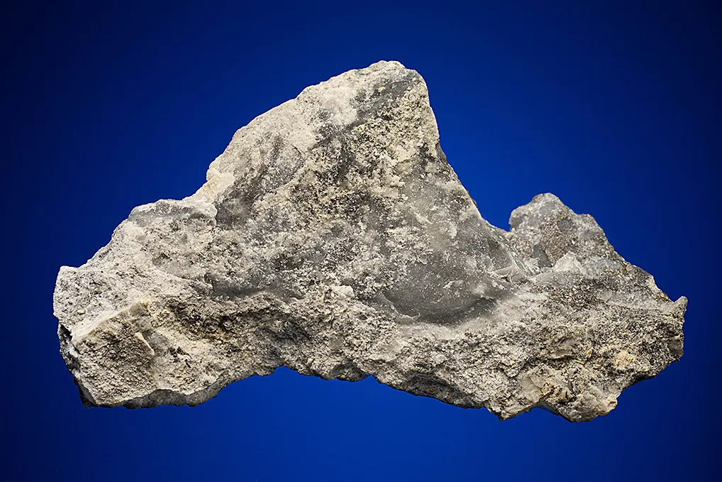 Gold with Hessite and PETZITE - image 3