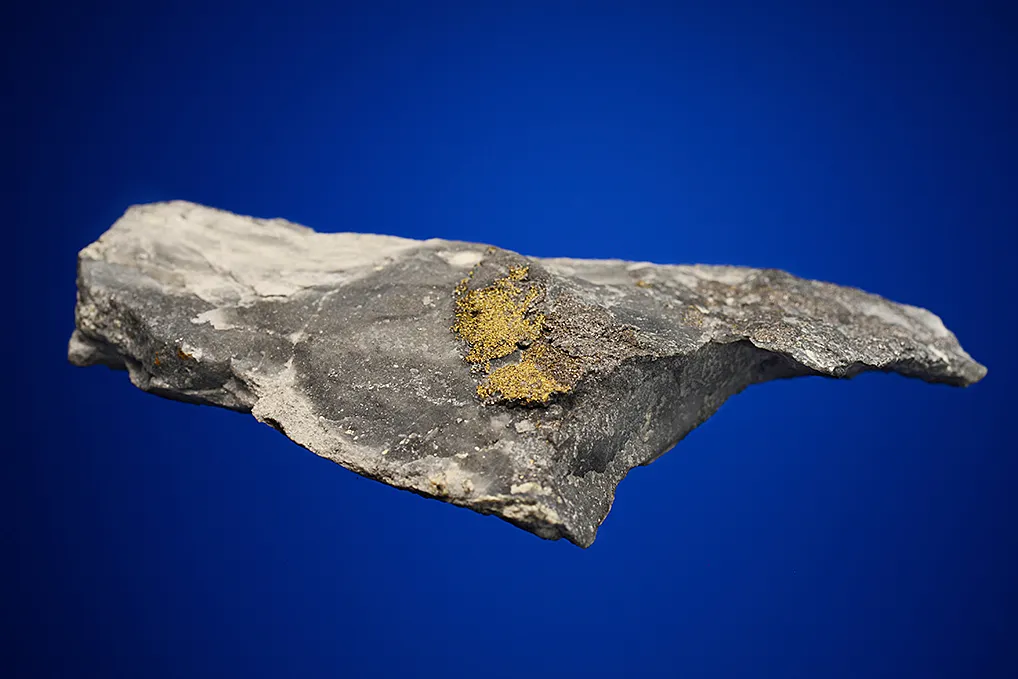 Gold with Hessite and PETZITE - image 4