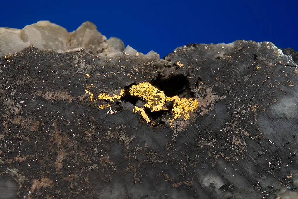 Gold with Hessite, PETZITE and Pyrite - image 2