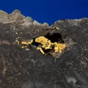 Gold with Hessite, PETZITE and Pyrite - image 2