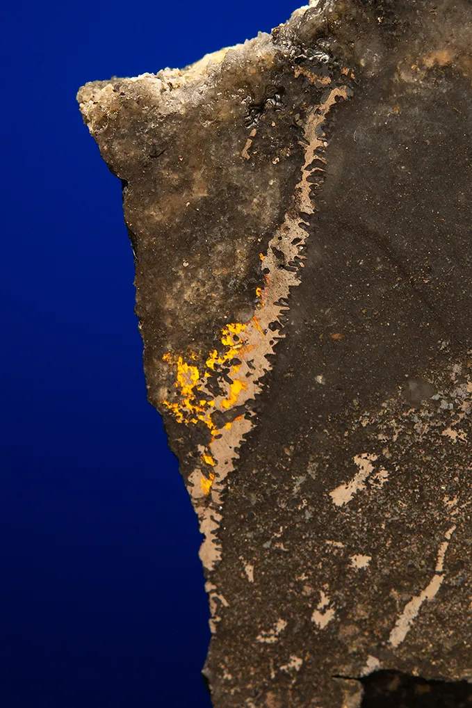 Gold with Hessite, PETZITE and Pyrite - image 2
