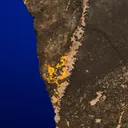 Gold with Hessite, PETZITE and Pyrite - image 2