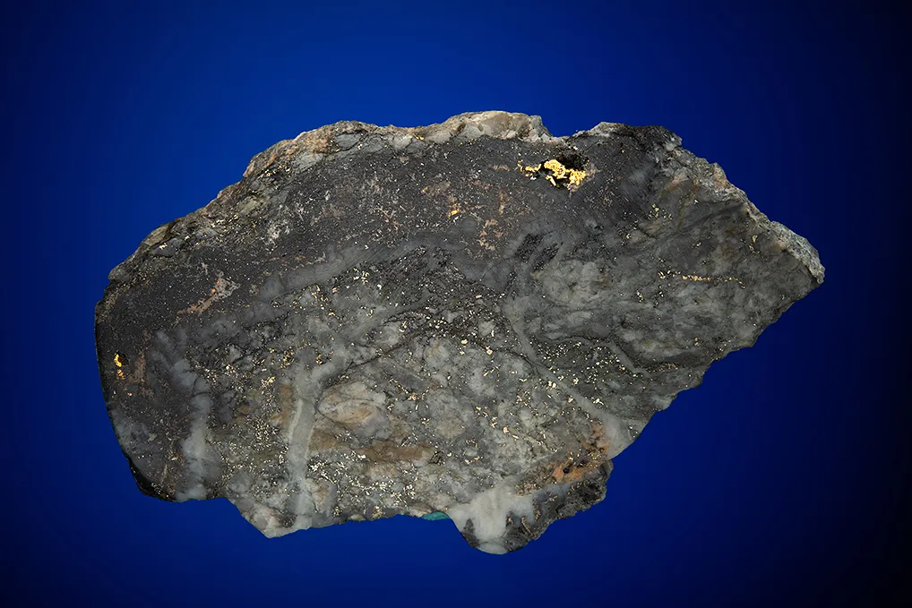 Gold with Hessite, PETZITE and Pyrite image