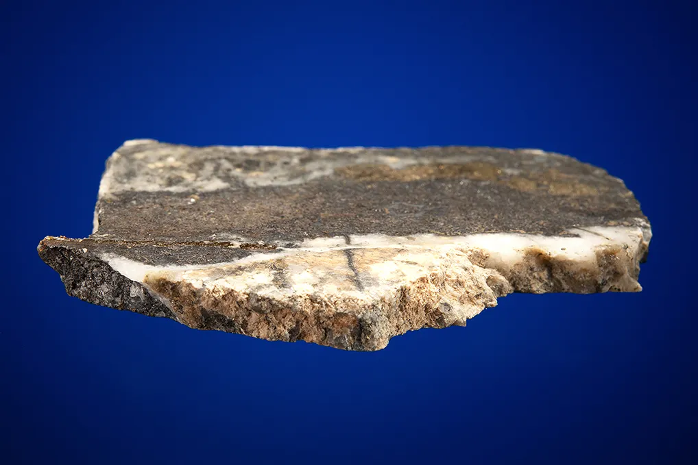 Gold with Hessite, PETZITE and Pyrite - image 3