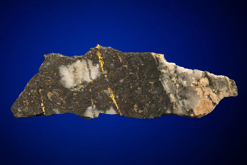 Gold with Hessite, PETZITE and Pyrite image