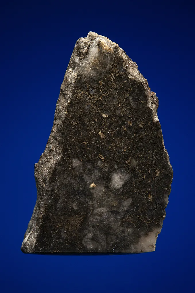 Gold with Hessite, PETZITE and Pyrite - image 3