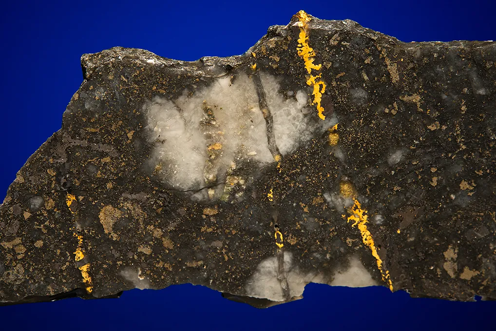 Gold with Hessite, PETZITE and Pyrite - image 2
