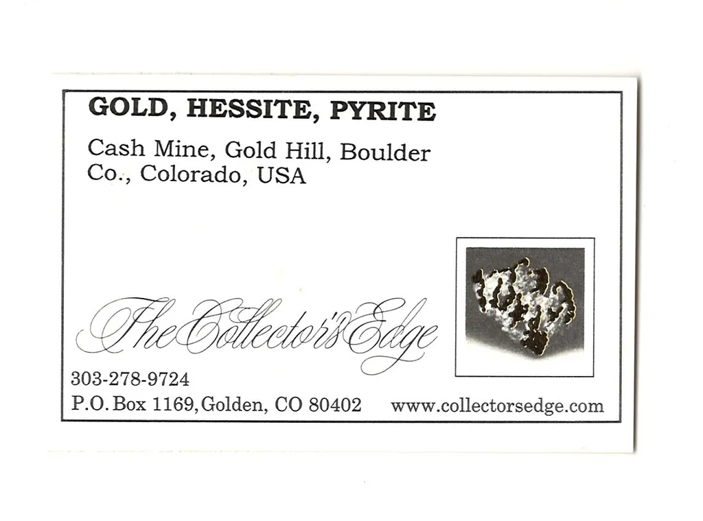 Gold with Hessite, PETZITE and Pyrite - image 5