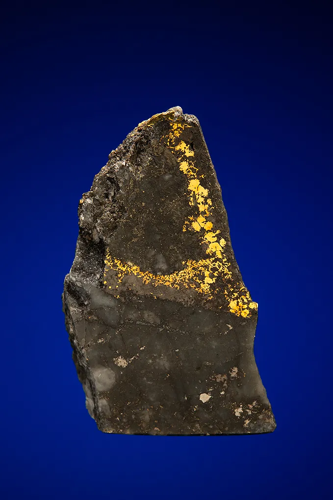 Gold with Hessite, PETZITE and Pyrite image