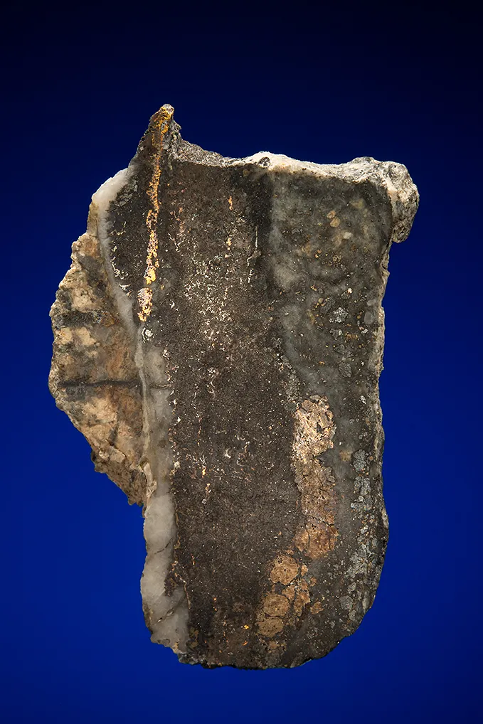 Gold with Hessite, PETZITE and Pyrite image