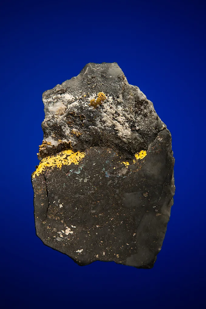 Gold with Hessite, PETZITE and Pyrite image