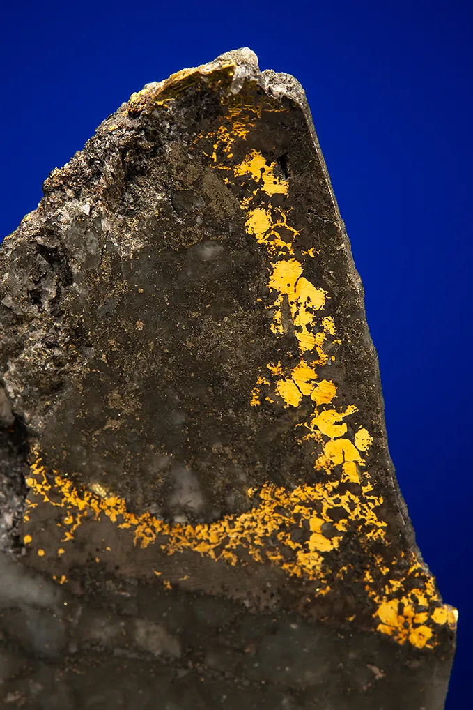 Gold with Hessite, PETZITE and Pyrite - image 2