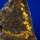 Gold with Hessite, PETZITE and Pyrite - image 2