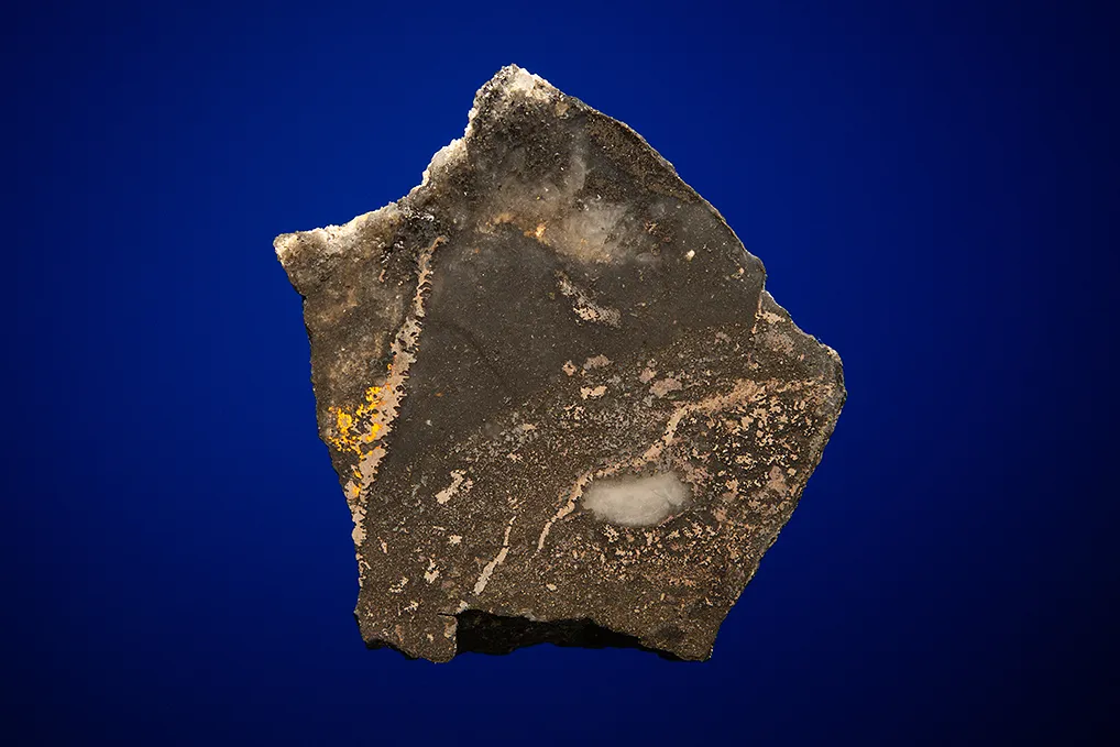 Gold with Hessite, PETZITE and Pyrite image