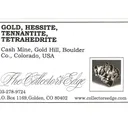 Gold with Hessite, PETZITE and Pyrite - image 5