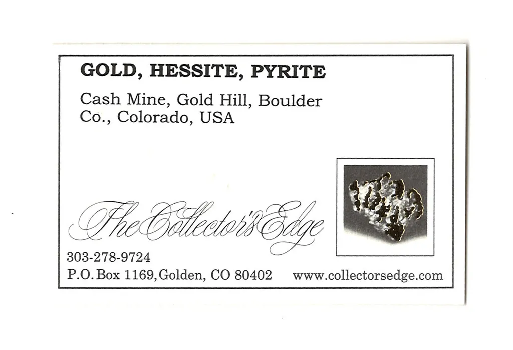 Gold with Hessite, PETZITE and Pyrite - image 5