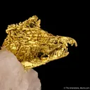 Gold with Quartz - image 6