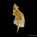 Gold with Quartz - image 5