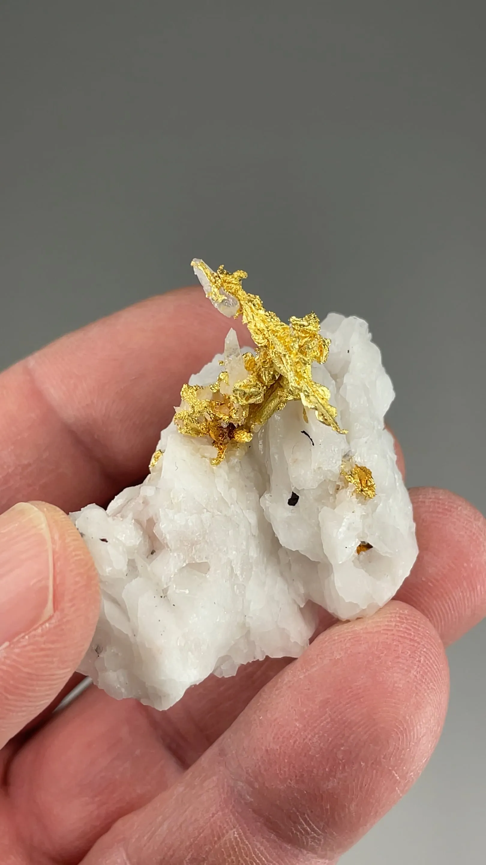 Gold with Quartz - image 2