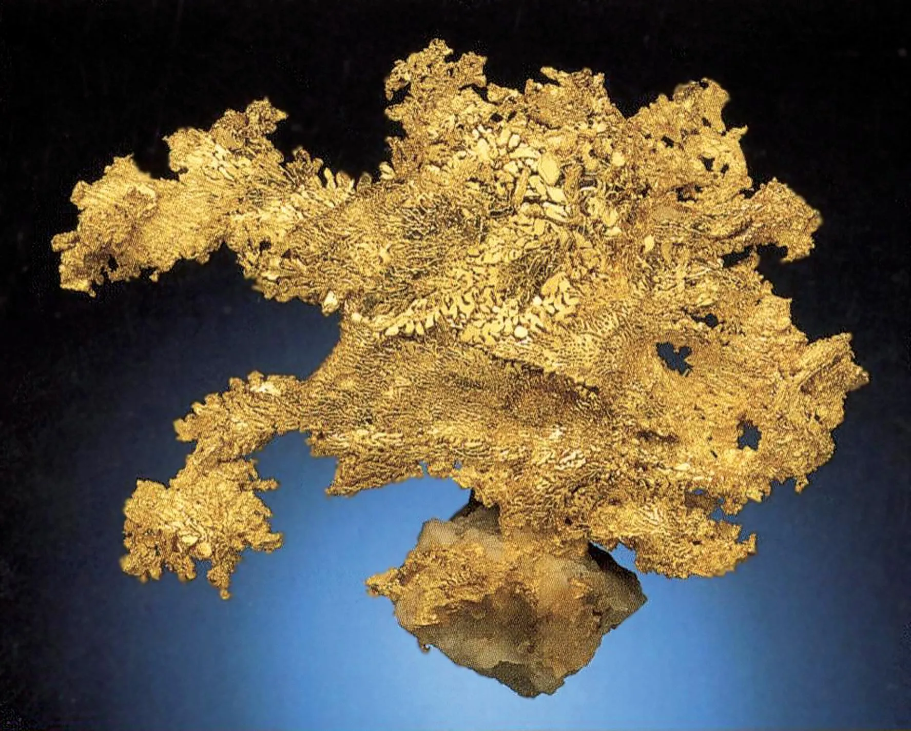 Gold with Quartz - image 1