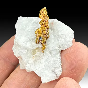 Gold with Quartz