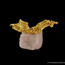 Gold with Quartz - image 1