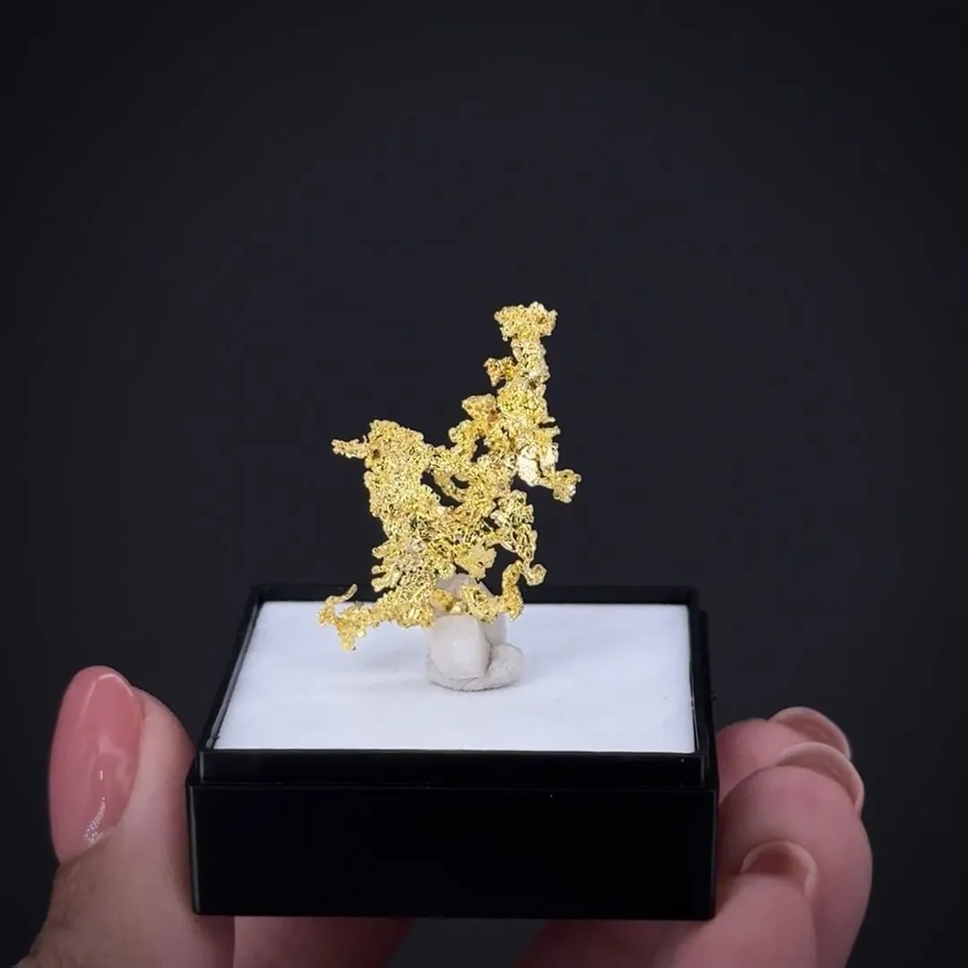 Gold with Quartz - image 2