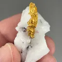Gold with Quartz - image 2