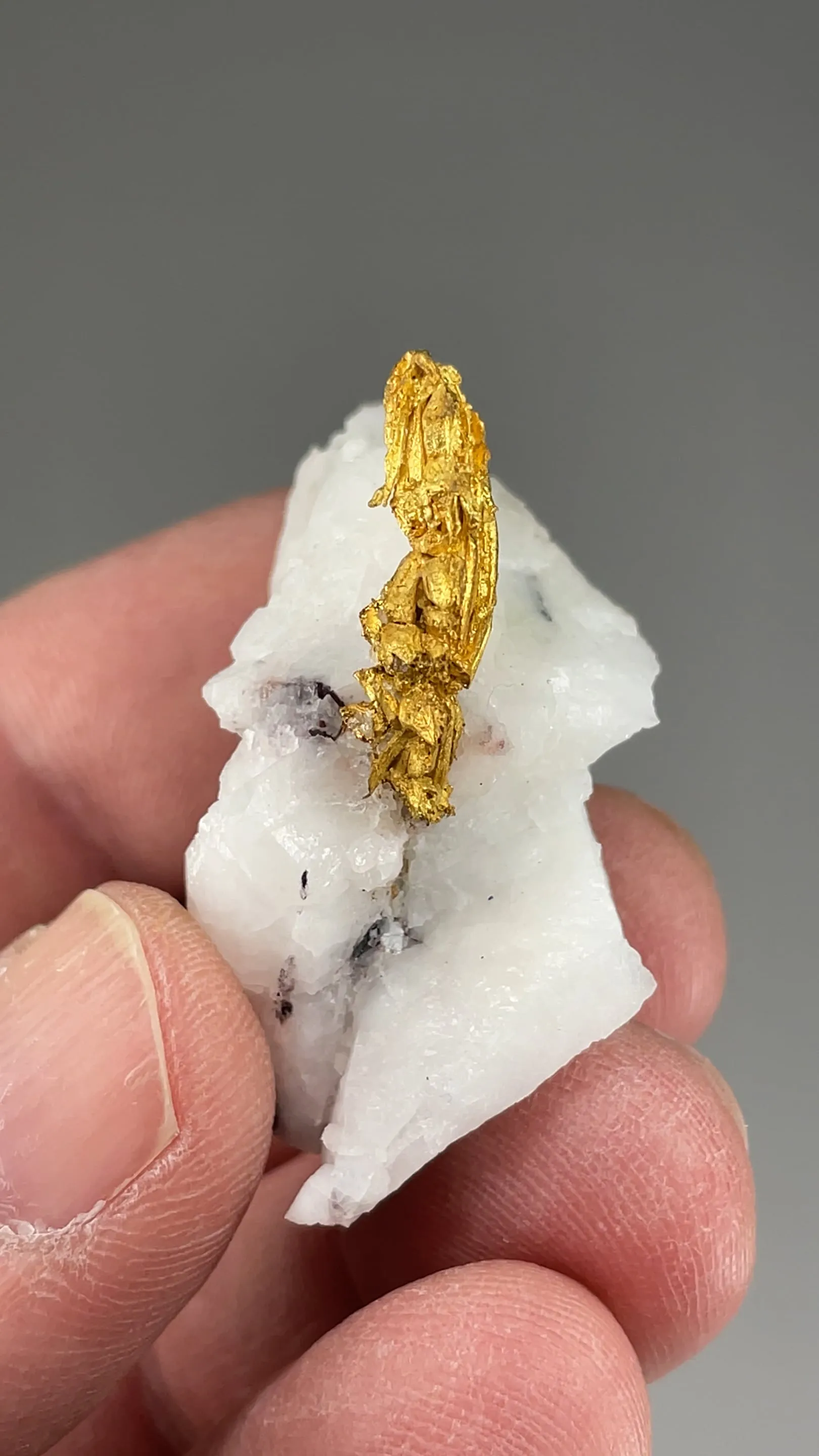 Gold with Quartz - image 2