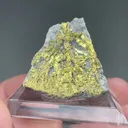 Gold with Quartz - image 2