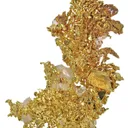 Gold With Quartz - image 4