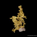 Gold with Quartz - image 4