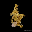 Gold with Quartz - image 5