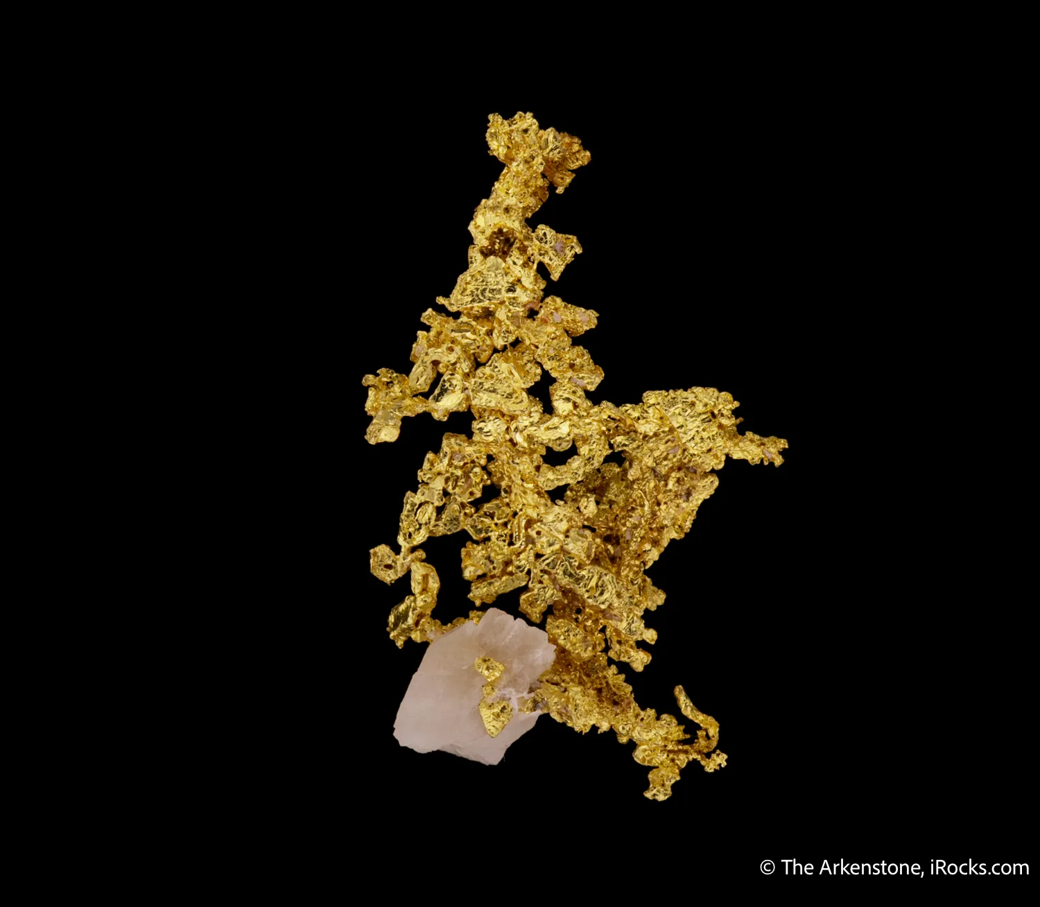 Gold with Quartz - image 5