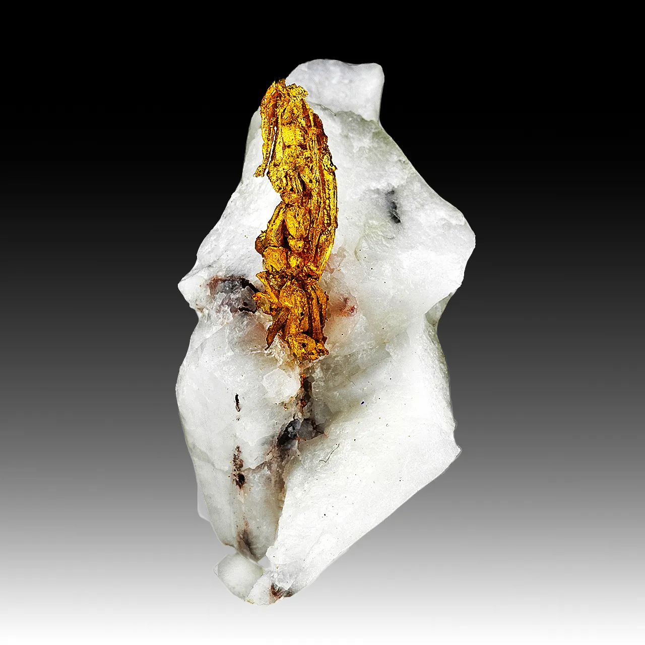Gold with Quartz - image 1