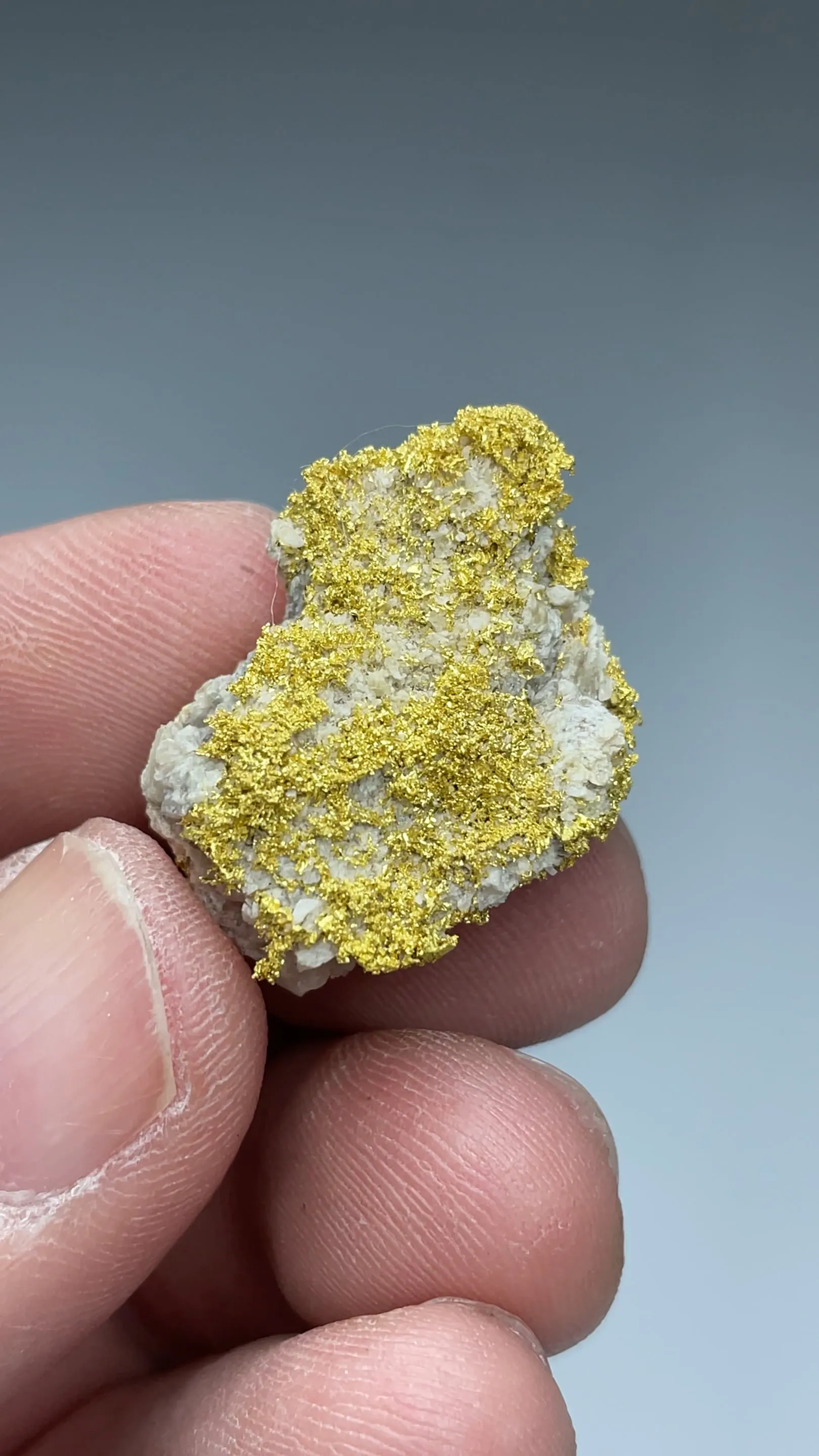 Gold with Quartz - image 2