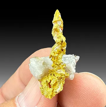Gold with Quartz