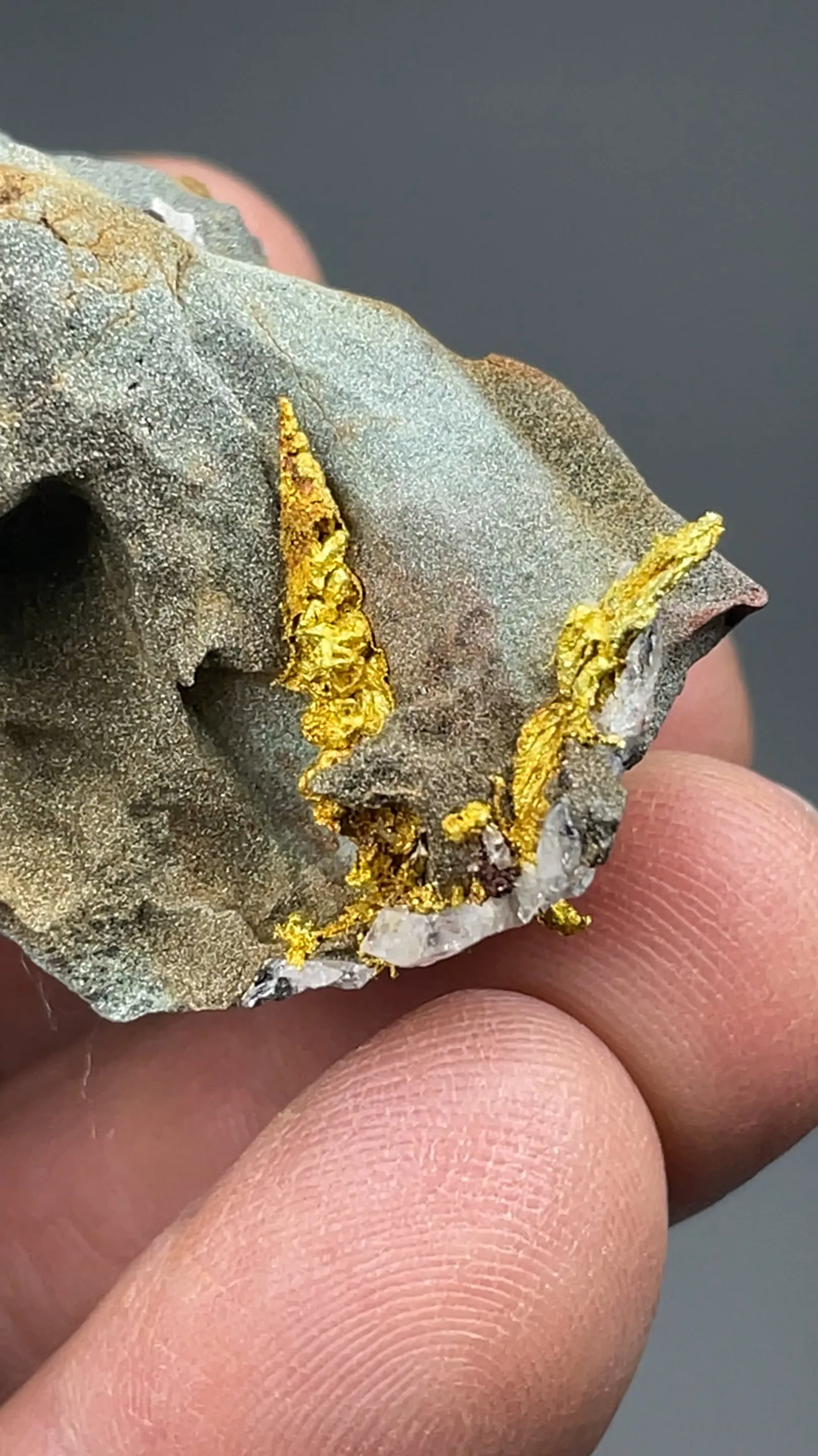 Gold with Quartz, Pyrite - image 3