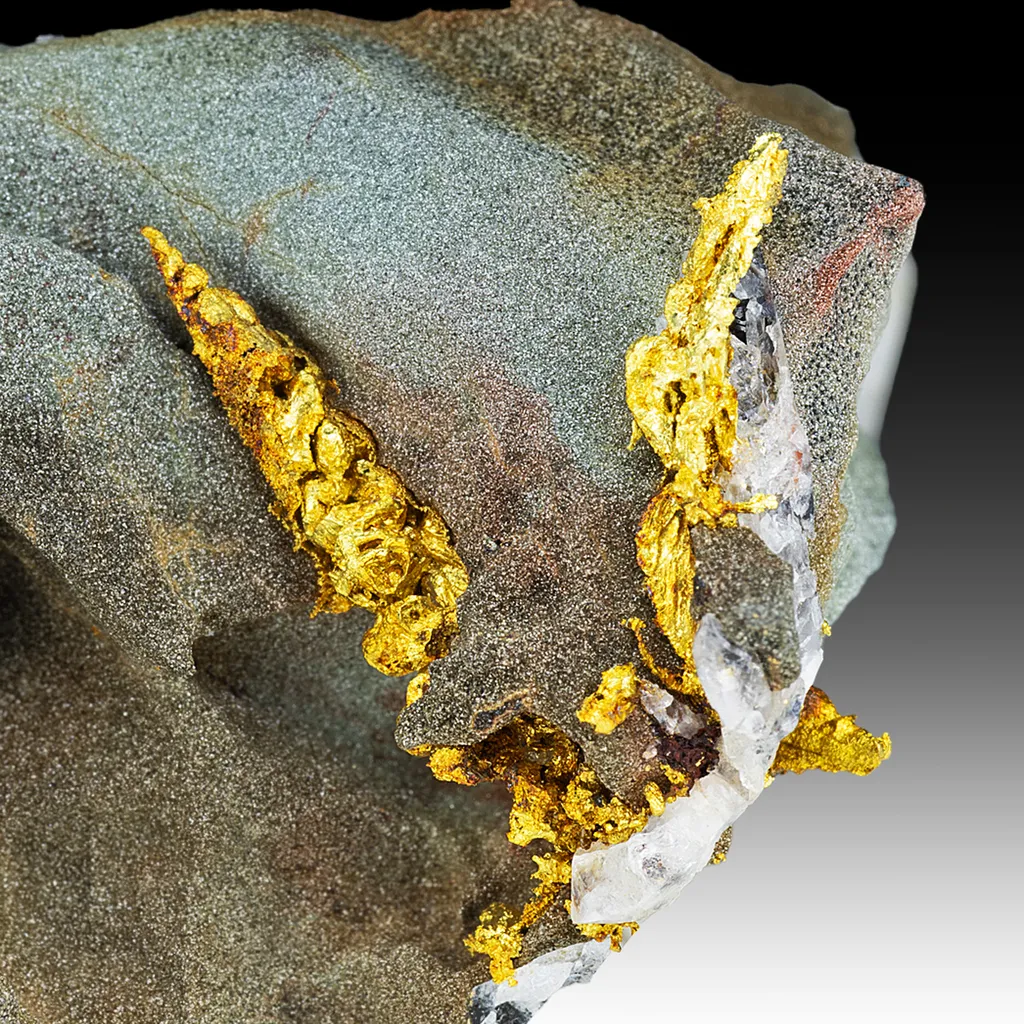 Gold with Quartz, Pyrite image