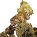 Gold With Sphalerite - image 2