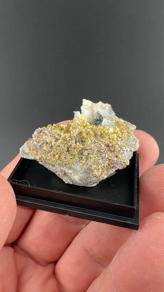 Gold with Sphalerite image