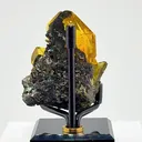 GOLDEN Anglesite PERFECTION FROM MOROCCO - image 4