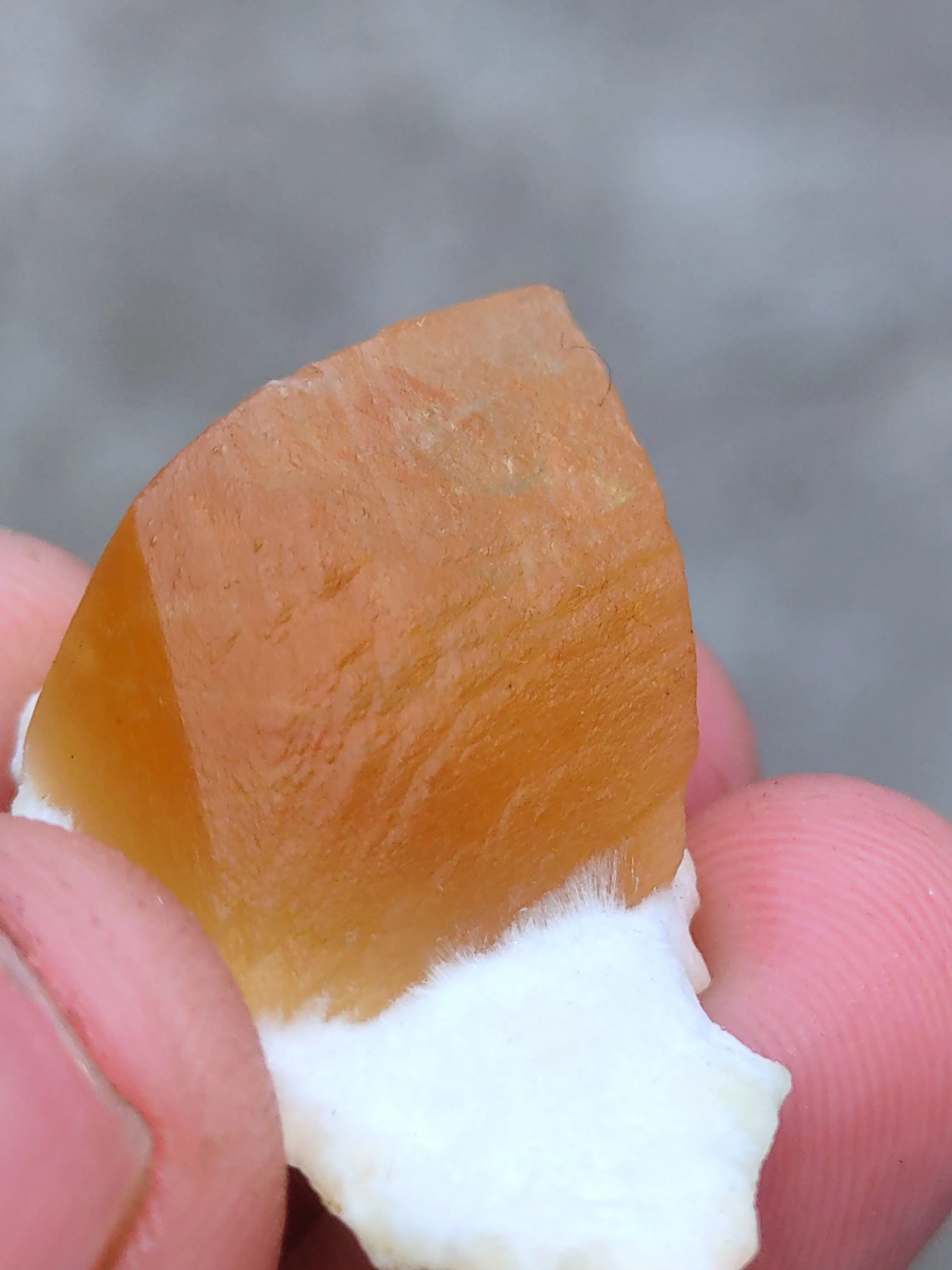 Golden Calcite on Okenite - image 4