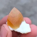 Golden Calcite on Okenite - image 7