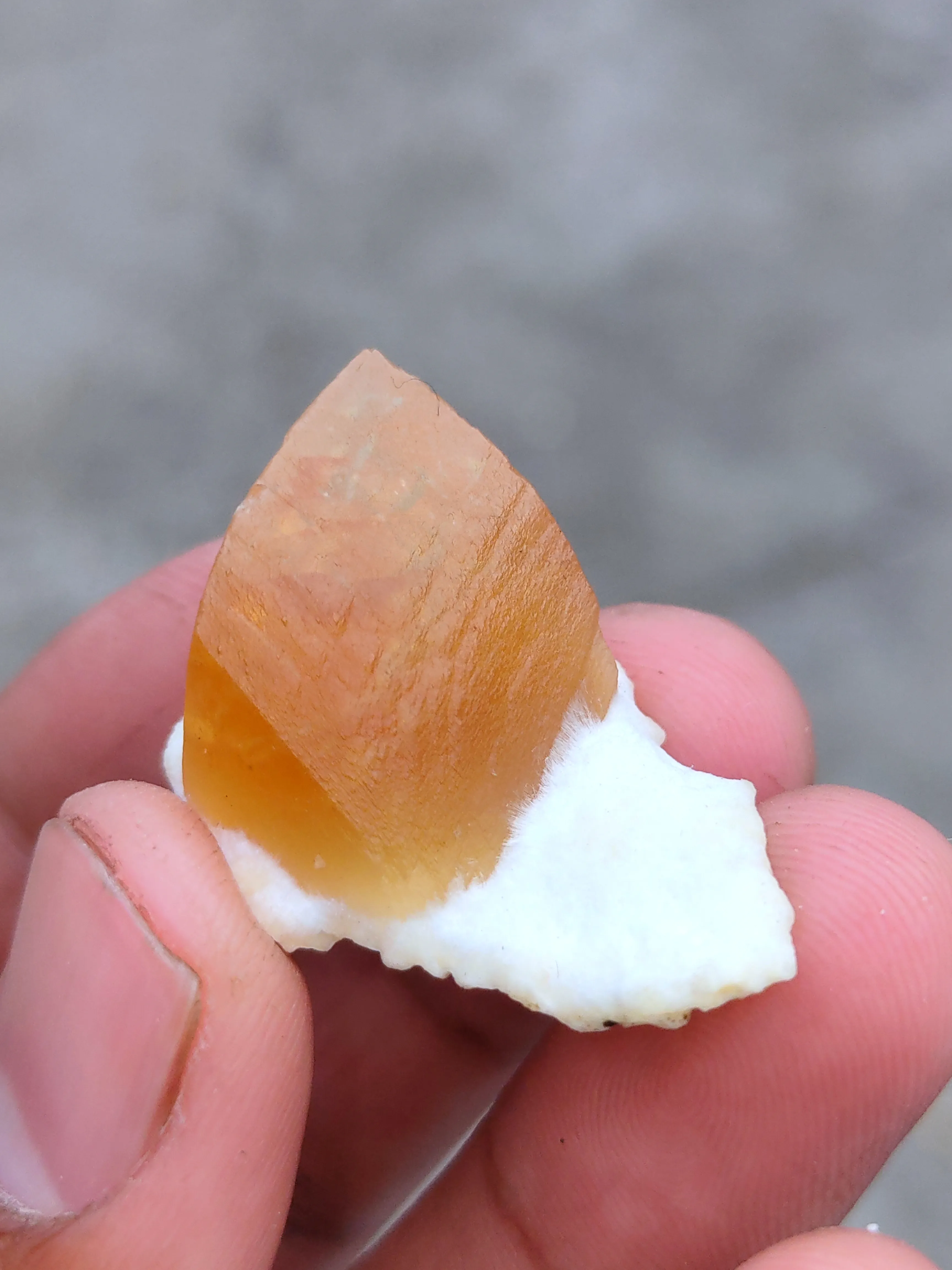 Golden Calcite on Okenite - image 7