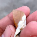 Golden Calcite on Okenite - image 5