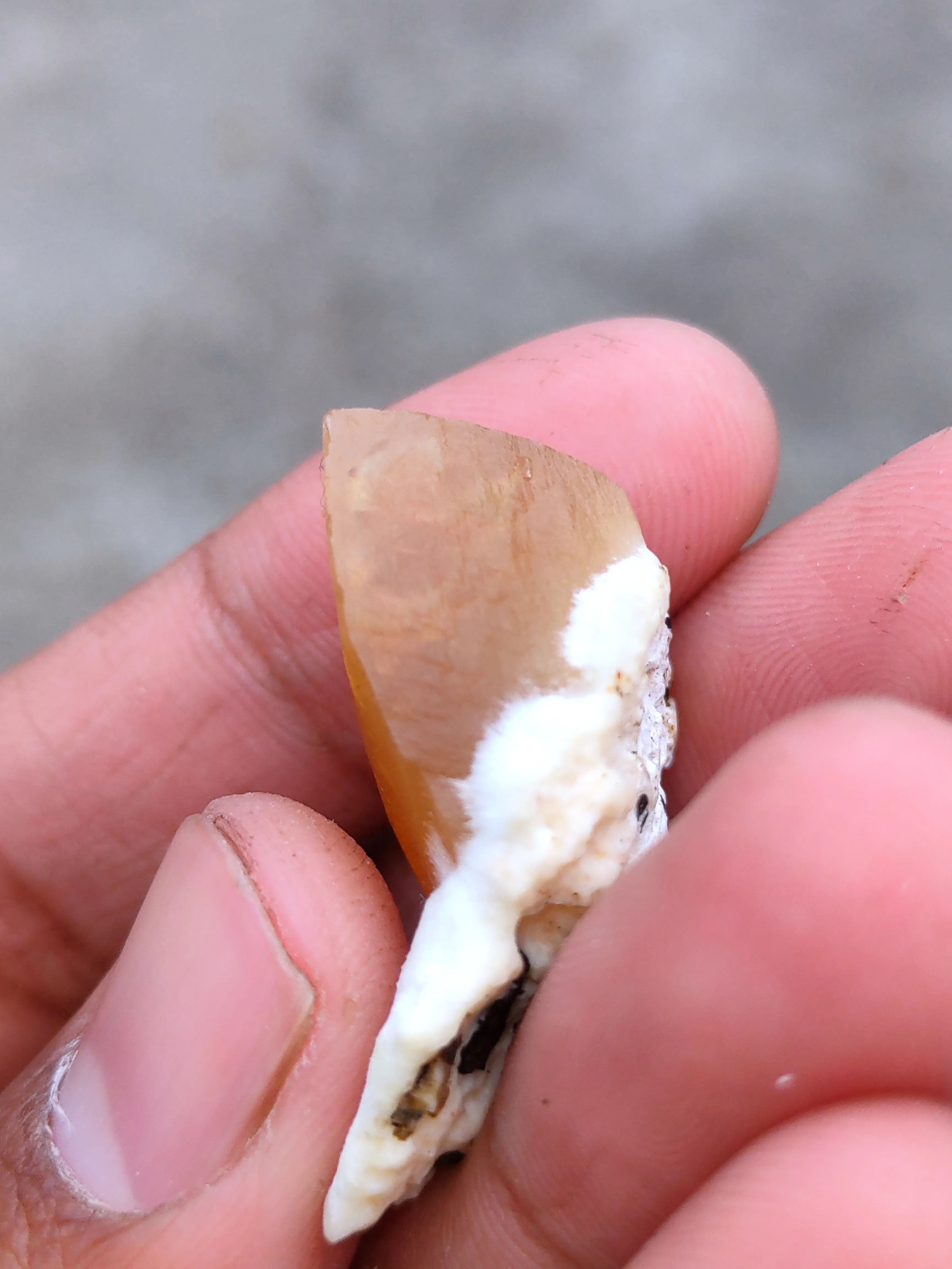 Golden Calcite on Okenite - image 5